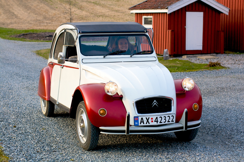 Illustration for article titled Ten Cars That Will Brighten Your Day Whenever You See Them